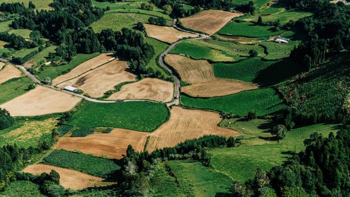 Municipal regulations guiding modern land use planning decisions