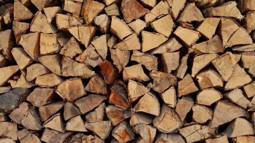 Different types of firewood for a fireplace