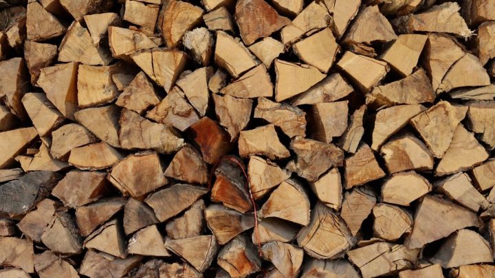 Different types of firewood for a fireplace