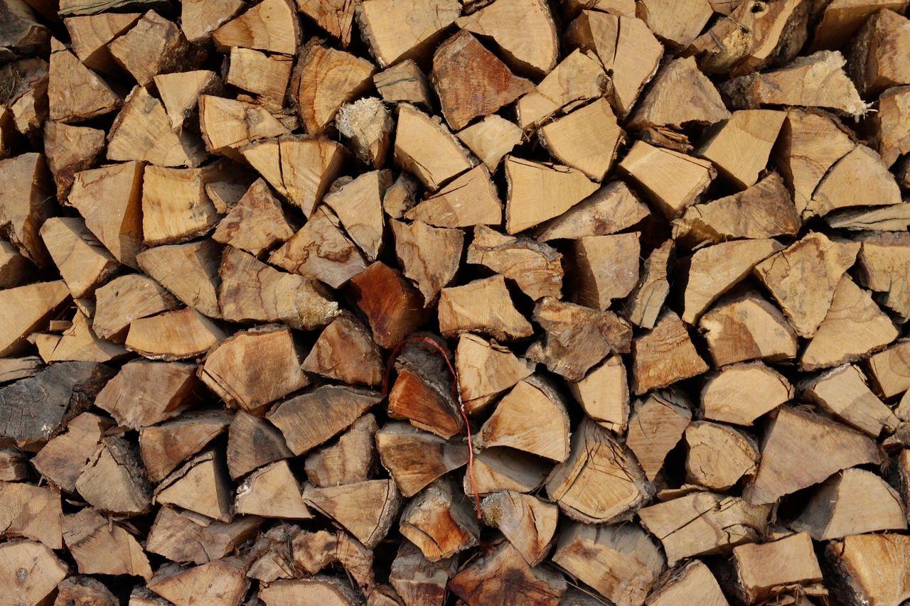 Different types of firewood for a fireplace